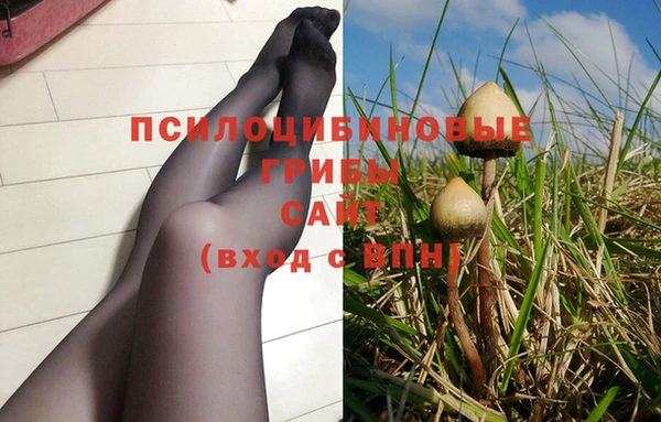 прущая мука Иннополис