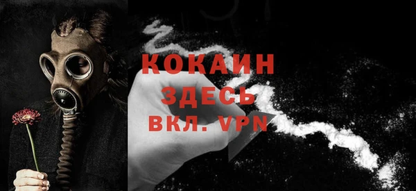 Альфа ПВП Инсар