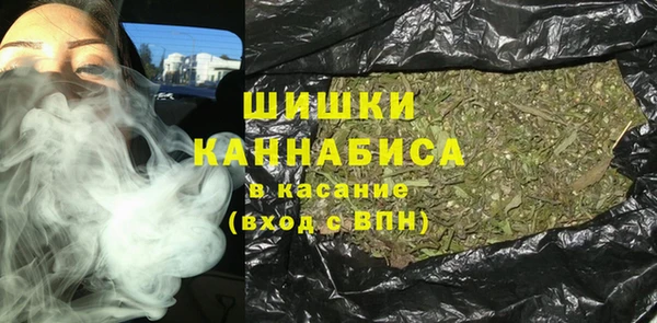 Альфа ПВП Инсар