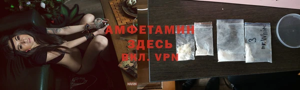 Альфа ПВП Инсар