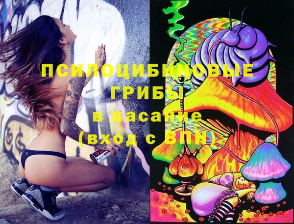 Альфа ПВП Инсар