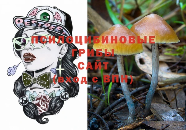 прущая мука Иннополис
