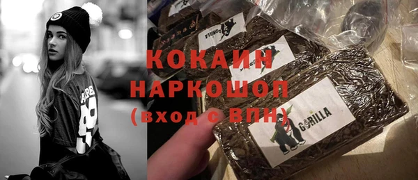 Альфа ПВП Инсар