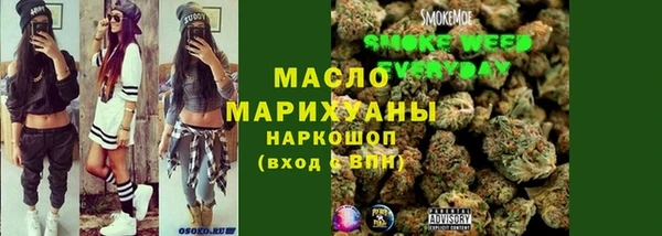 Альфа ПВП Инсар
