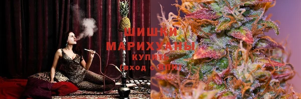 амф Сосновоборск