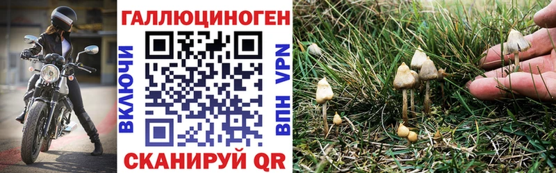 Купить где  Николаевск-на-Амуре  Псилоцибиновые грибы MAGIC MUSHROOMS 